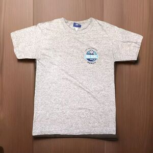 Reebok Pro Bowl 2009 Adult Gray Small T Shirt Aloha Stadium Hawaii NFC AFC